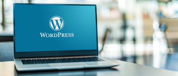 Custom WordPress Development