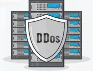 DDoS Protection